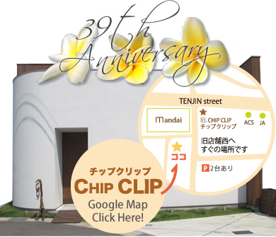 長岡京市の美容室、Chip Clip 39周年