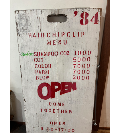 hair chip clip